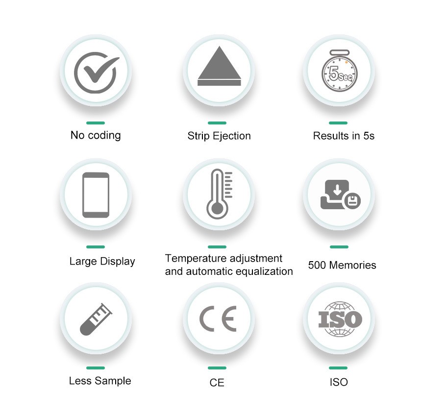 ZH-G04 product feature graphic showing no coding, strip ejection, 5-second results, large display, temperature adjustment, 500 memories, low sample requirement, CE and ISO symbols